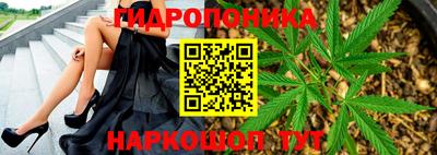 сатива Мариинск