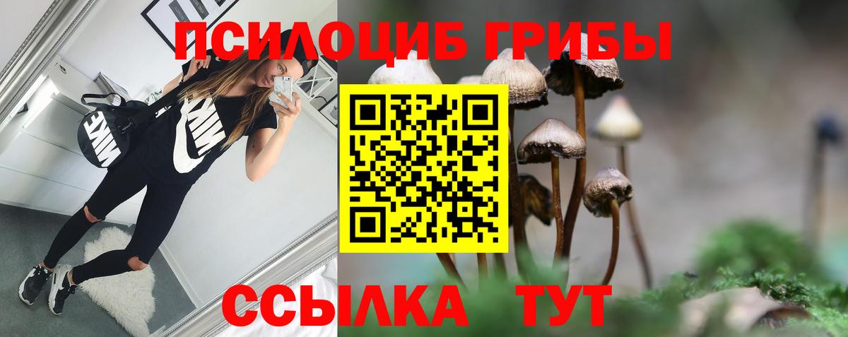 Галлюциногенные грибы Cubensis Черкесск