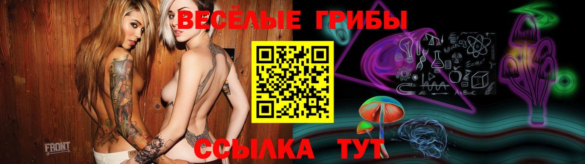 даркнет сайт  Псилоцибиновые грибы Magic Shrooms  Вход с VPN  Черкесск 